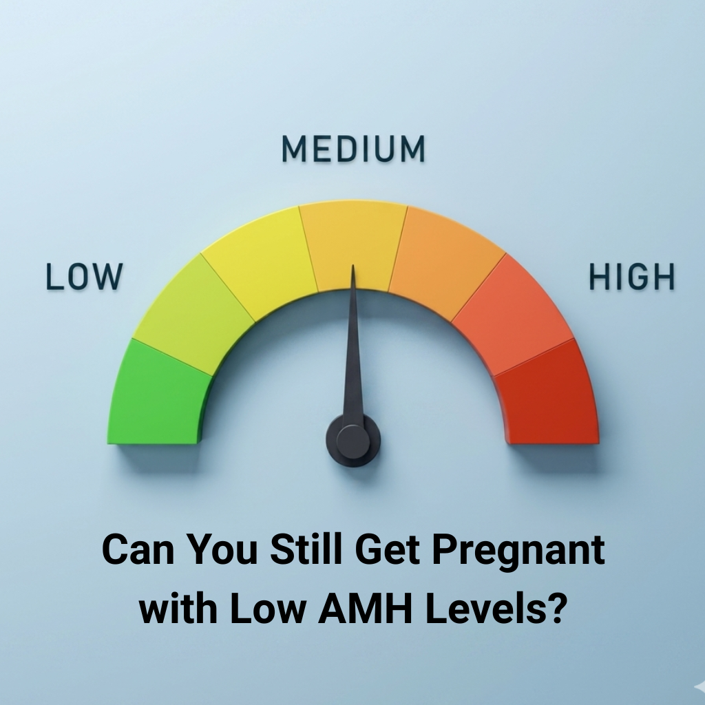 Can You Still Get Pregnant with Low AMH Levels?