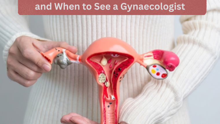 Uterine Fibroids: Symptoms, Diagnosis and When to See a Gynaecologist