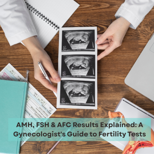AMH, FSH & AFC Fertility Tests
