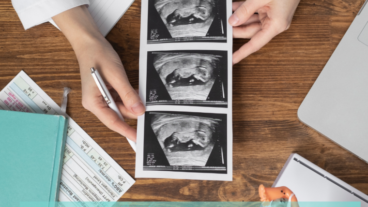 AMH, FSH & AFC Fertility Tests
