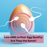 Low AMH vs Poor Egg Quality: Are They the Same?